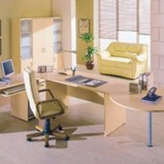 Кабинеты руководителей Бизнес фото