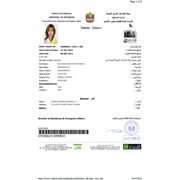 Виза в ОАЭ фото