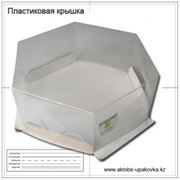 Упаковка из пластика фото
