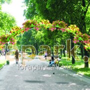 Арка Дабл 3 фото