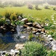 Ландшафтный дизайн. фото