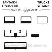 TRUCKS MERCEDES AXOR 04'-... ATEGO 04'-... KIT2 Светлое дерево, темное дерево, темный орех, черный, синий, желтый, красный фото