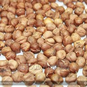 Фундук очищенный абхазский фото