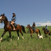 Конные прогулки фото