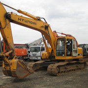 Экскаватор гусеничный Hyundai Robex 250 фото