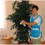 Услуги домработницы фото