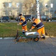 Уборка территории фото