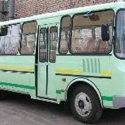 Паз 4234 двухдверный автобус фото