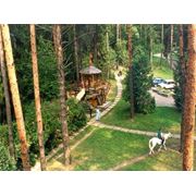 Корпоративные поездки фото
