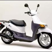 Мопед, скутер Honda Topic AF 38 фото