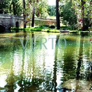 Строительство прудов и водоемов фото
