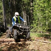 Квадроцикл Grizzly 350 фото