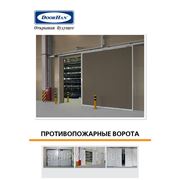 Cекционные ворота фото
