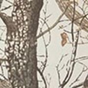 Ткань камуфлированная «Саржа» лесные дизайны с ВО фото
