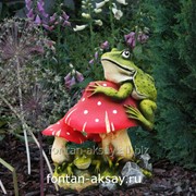 Мухомор с лягушками большой фото