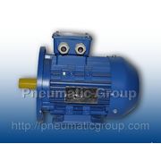 Электордвигатель А355В8 УIM1001 380/660В 50ГЦ IP54 фото