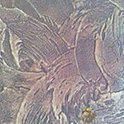 Услуги рельефной фотографии фото