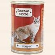 Кошачье счастье. Говядина. фото