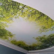 Натяжные потолки с художественной фотопечатью фото