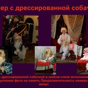 Собачка на день рождения фото