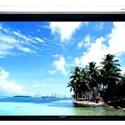 Elite Screen 120,7x193 см фото