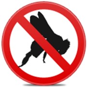 Уничтожение ос фото