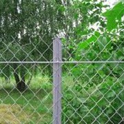 Забор из сетки-рабицы фото