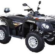 Мотовездеходы ATV 700 DINLI ASA9CX фото