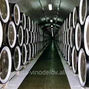 Оборудование для винодельческой промышленности фото