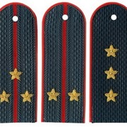 Погоны МВД фото
