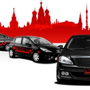 Перевозка животных фото