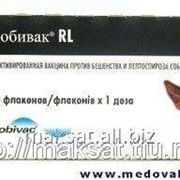 Вакцина Нобивак RL 10 х 1D фото