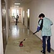 Генеральная уборка и биологическая чистка фото