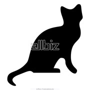 Зоотовары фото