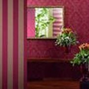 Обои виниловые на флизелиновой основе Rasch Textil фото