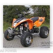 Квадроцикл CFMoto EGL Mad Max 300 фото