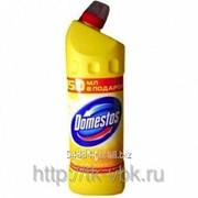 Чистящее средство Domestos 500 мл фото
