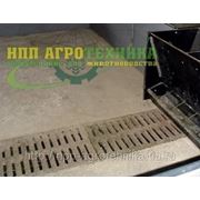 Гидросмыв - система навозоудаления в свинарниках фото