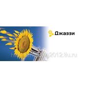 Джаззи фото