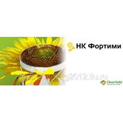 НК Фортими фото