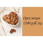 Орех пекан фото
