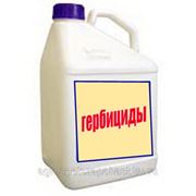 Девиз, ВР (480 г/л дикамбы к-ты), 5л — поставляется только совместно с Гренчем, Корридой или Триасом фото