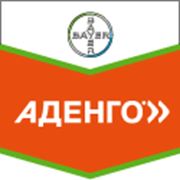 Аденго фото
