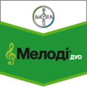 Мелоді Дуо фото