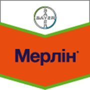 Мерлін фото