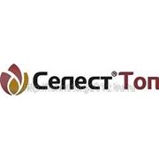 Селест Топ 312,5 FS т.к.с. фото