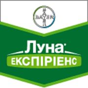 Луна Експіріенс фото