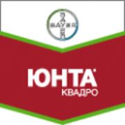 Юнта Квадро фото