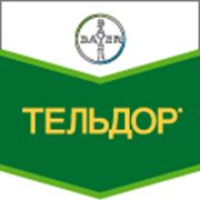 Тельдор фото