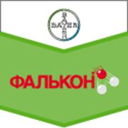 Фалькон фото